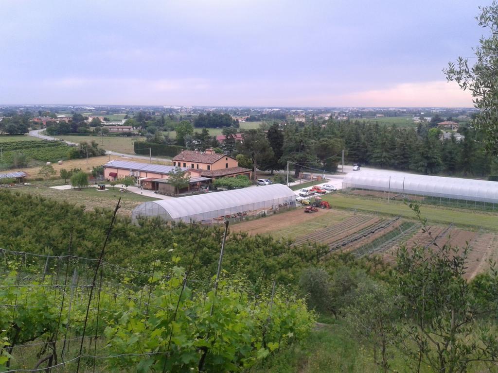 Agriturismo Perugini Bed and Breakfast Cesena Exteriör bild